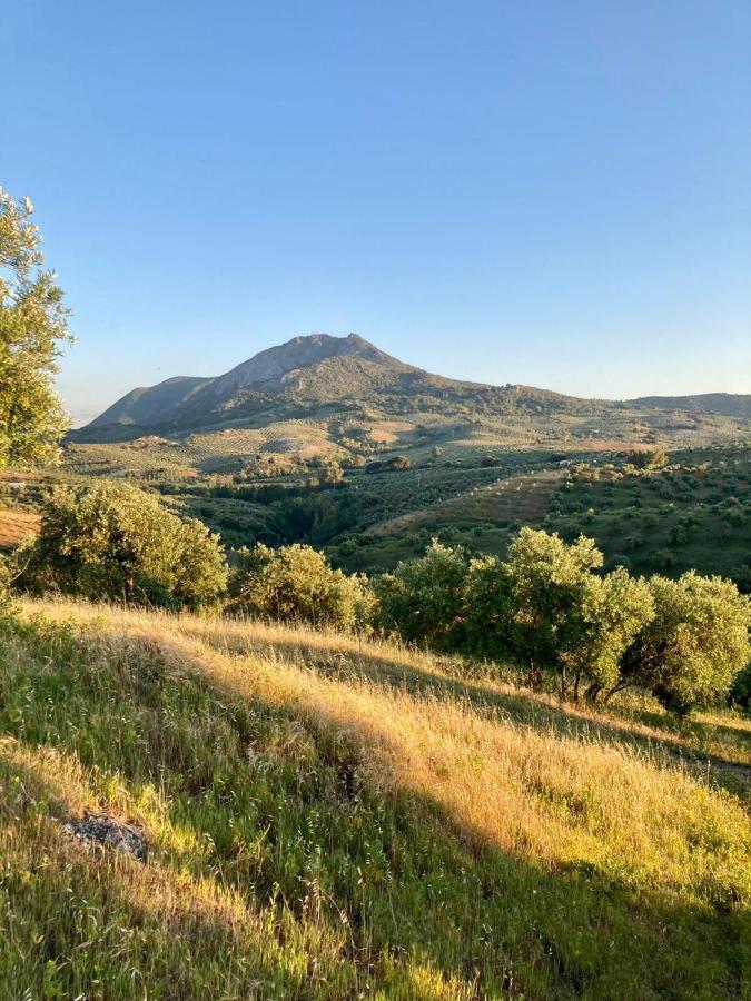 Apartamento Completo En Sierra Sur Villanueva de San Juan Bagian luar foto