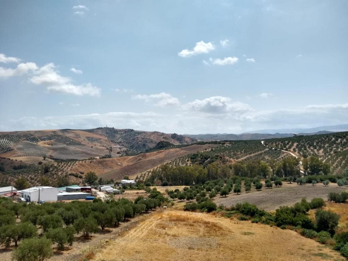 Apartamento Completo En Sierra Sur Villanueva de San Juan Bagian luar foto